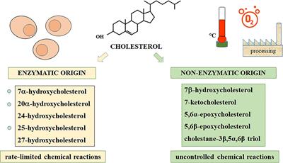 Oxysterols as Reliable Markers of Quality and Safety in Cholesterol Containing Food Ingredients and Products